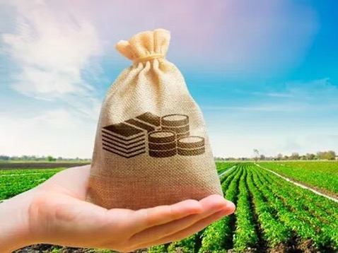 Казахстан запускает 202 инвестиционных проекта в АПК